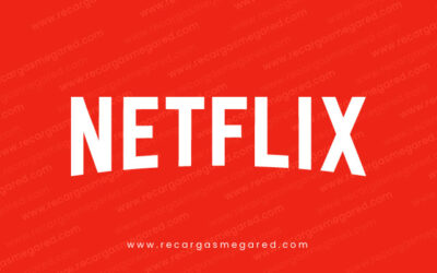 ¿Cómo Vender Pines de Netflix?